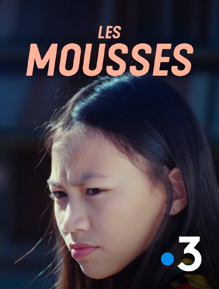 France 3 - Les mousses