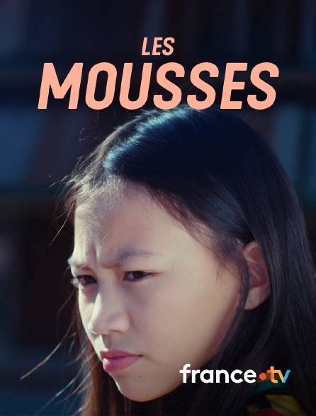 france.tv - Les mousses