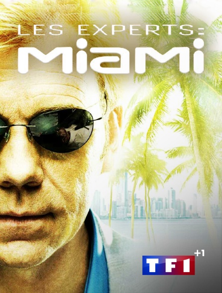 TF1 +1 - Les experts : Miami