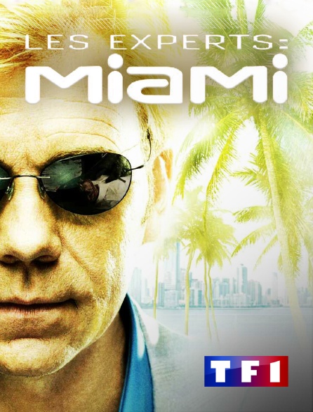 TF1 - Les experts : Miami