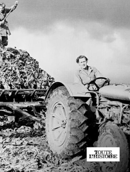 Toute l'Histoire - A l'ombre de la Seconde Guerre mondiale