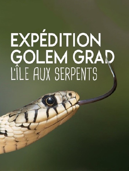Expédition Golem Grad, l'île aux serpents