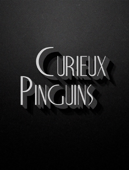 Curieux Pinguins