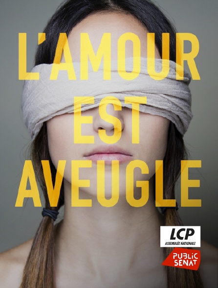LCP Public Sénat - L'amour est aveugle