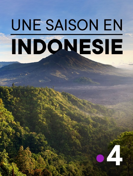 France 4 - Une saison en Indonésie