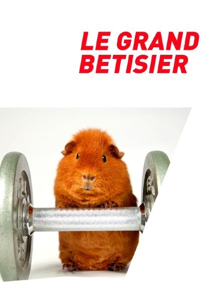 Le grand bêtisier du sport