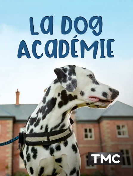 TMC - La dog Académie