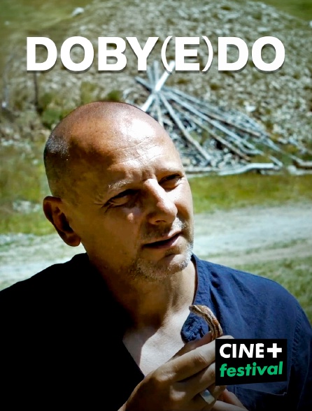 CINE+ Festival - doby(e)do