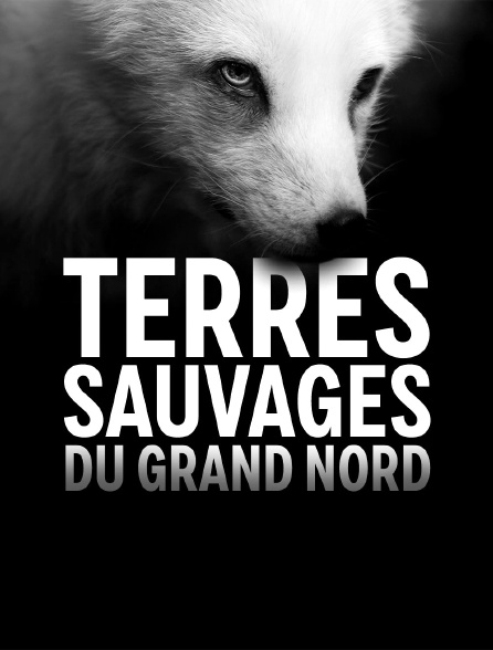 Terres sauvages du Grand Nord