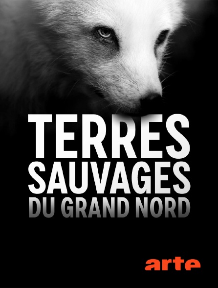 Arte - Terres sauvages du Grand Nord