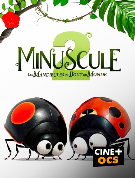 CINÉ Cinéma - Minuscule 2 : Les mandibules du bout du monde en replay