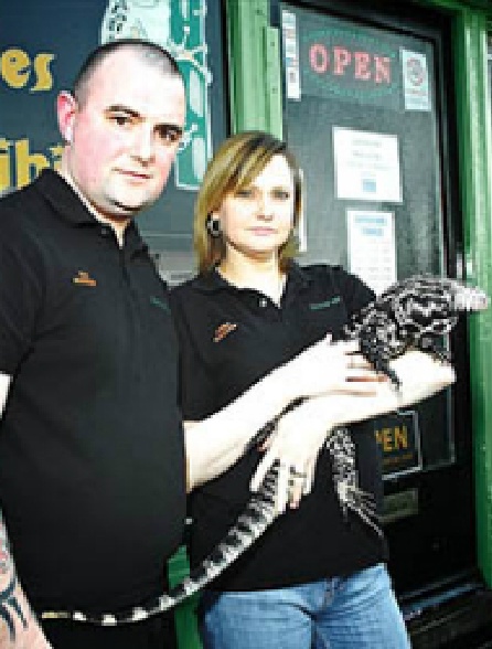 Des reptiles dans la ville