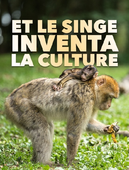 Et le singe inventa la culture