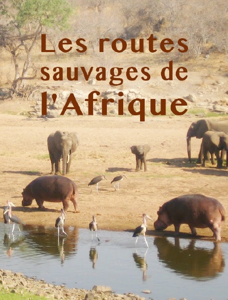 Les routes sauvages de l'Afrique