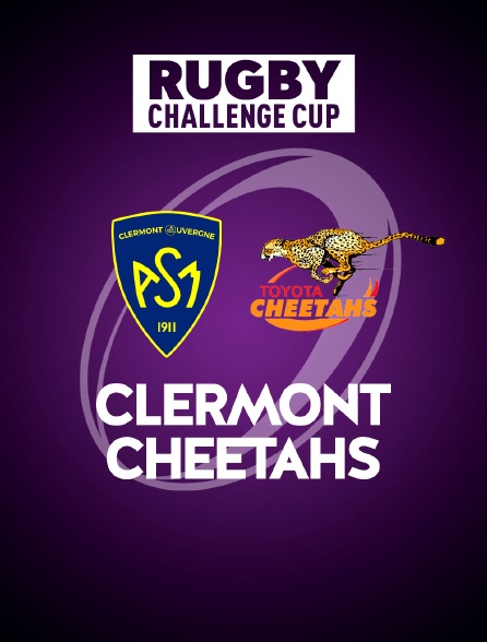 Rugby - Challenge Cup : Clermont / Cheetahs
