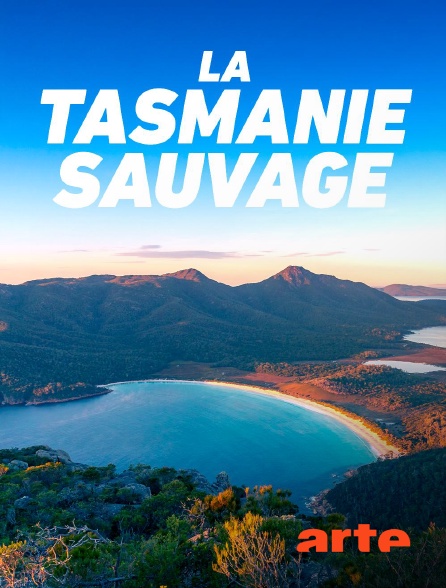 Arte - La Tasmanie sauvage