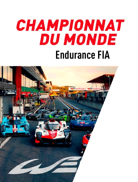 Automobilisme : Championnat du monde d'endurance FIA