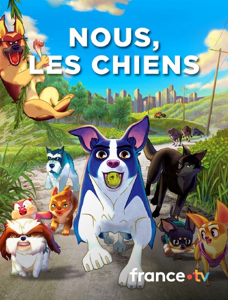 France.tv - Nous, les chiens