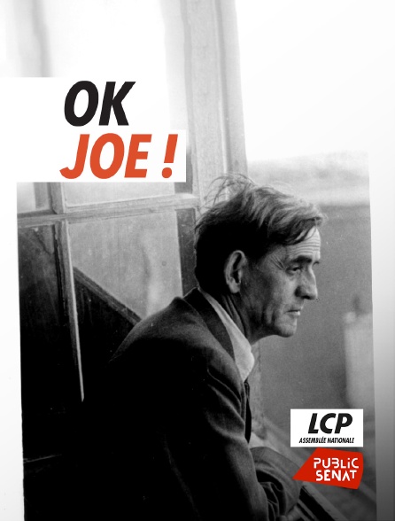 LCP Public Sénat - OK, Joe ! Ou les mémoires du soldat Guilloux