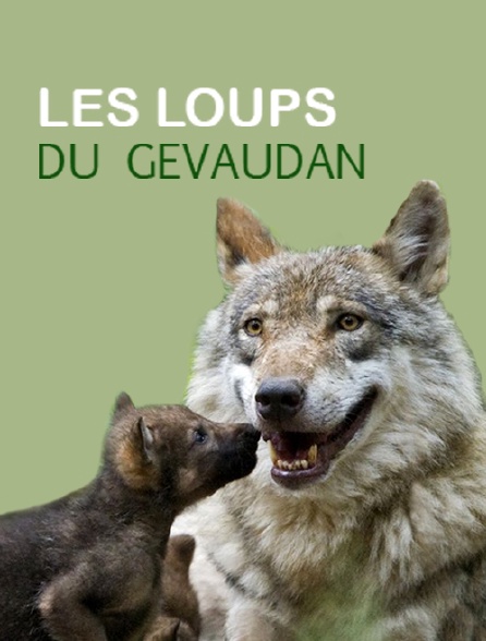 Les loups du Gévaudan