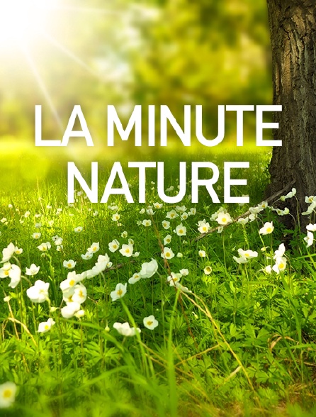 La minute nature