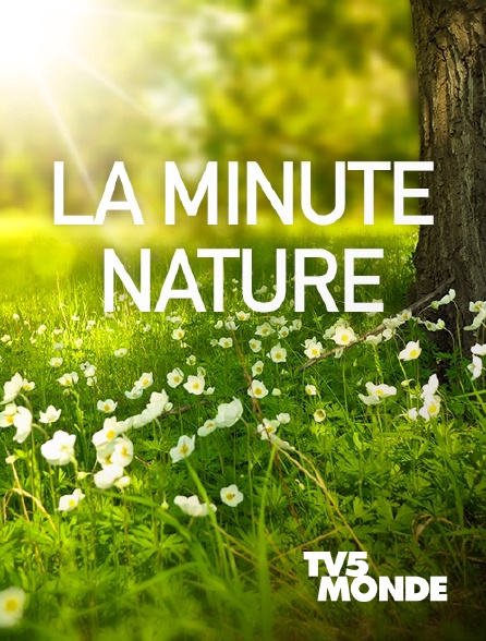 TV5MONDE - La minute nature