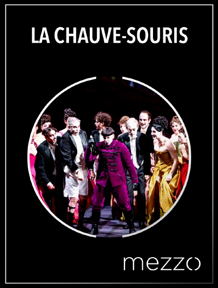 Mezzo - La Chauve-Souris