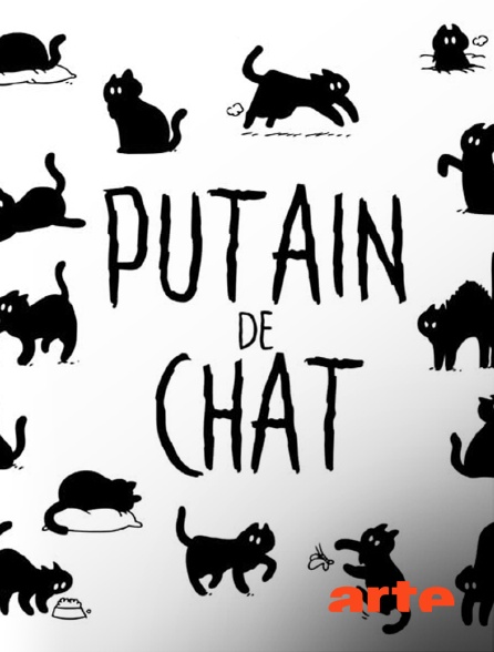 Arte - Putain de chat !