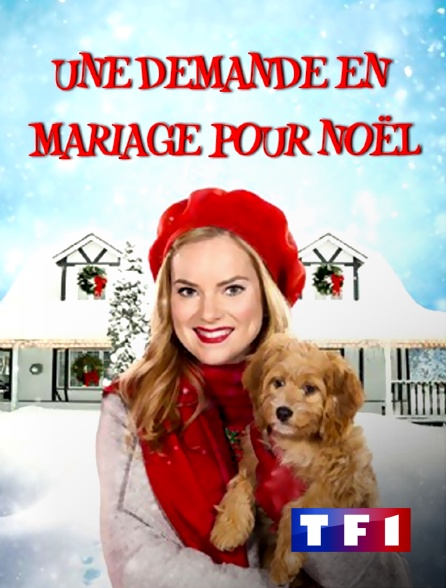 TF1 - Une demande en mariage pour Noël
