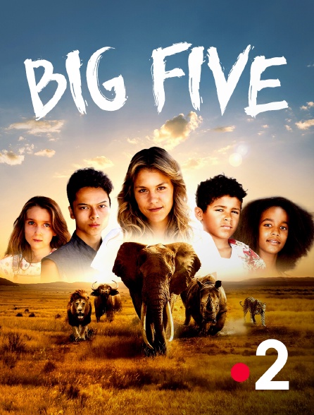 France 2 - Big five
