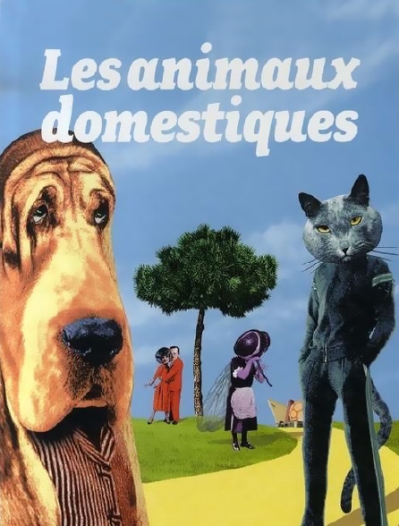 Les animaux domestiques