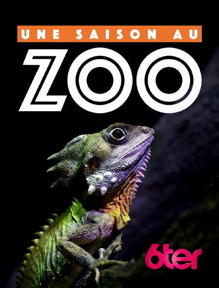 6ter - Une saison au zoo