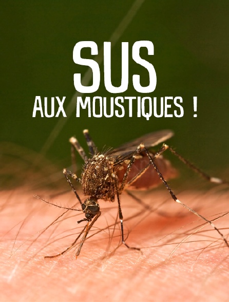 Sus aux moustiques !