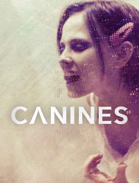 Canines