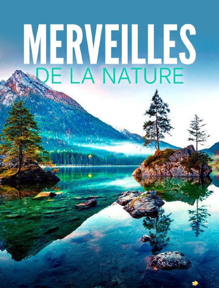 Merveilles de la nature