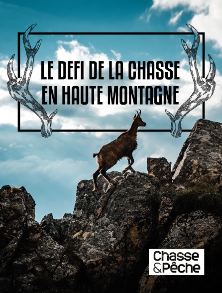 Chasse et pêche - Le défi de la chasse en haute montagne