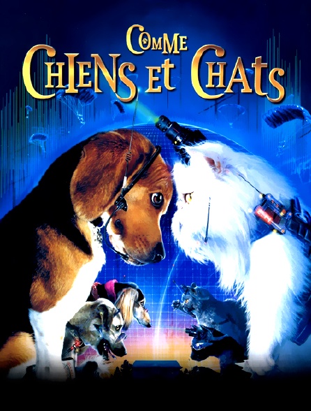 Comme Chiens Et Chats En Streaming Molotov Tv