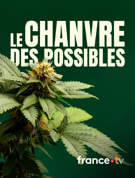 france.tv - Le chanvre des possibles