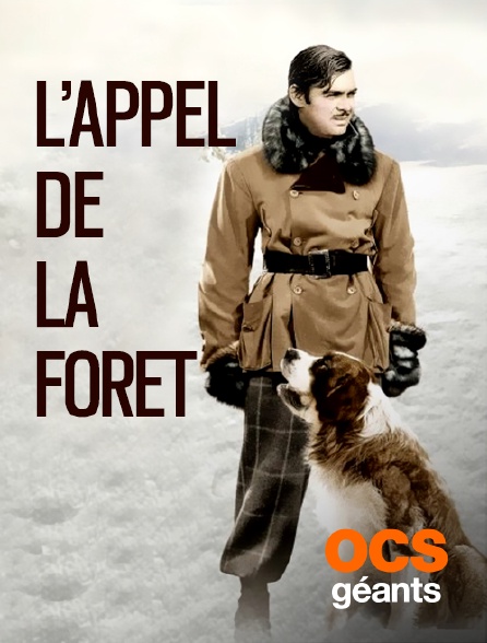 OCS Géants - L'appel de la forêt