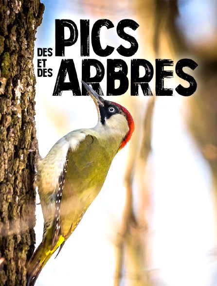 Des pics et des arbres