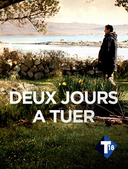 T18 - Deux jours à tuer
