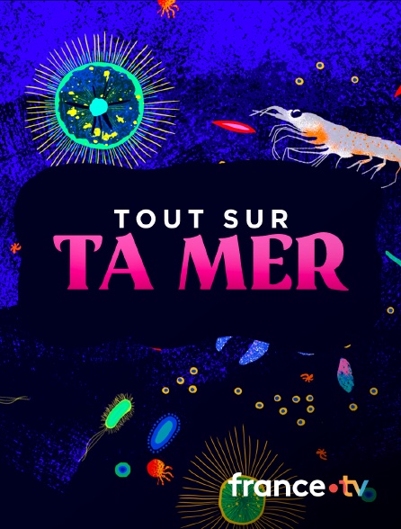 france.tv - Tout sur ta mer