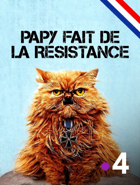 France 4 - Papy fait de la résistance