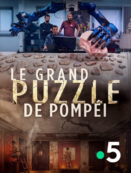 France 5 - Le grand puzzle de Pompéi en replay