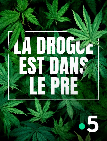 France 5 - La drogue est dans le pré