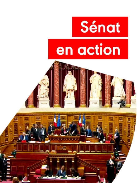 france.tv - Sénat en action