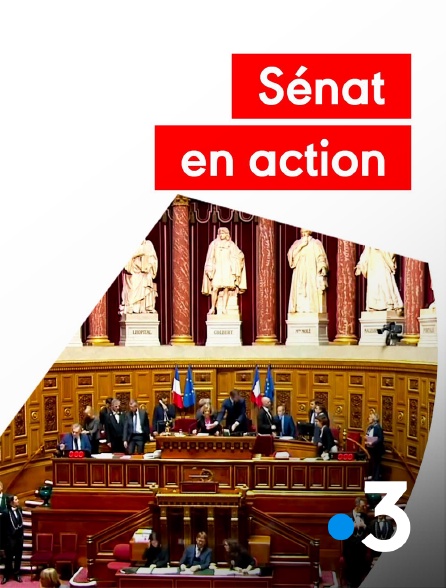 France 3 - Sénateur en action