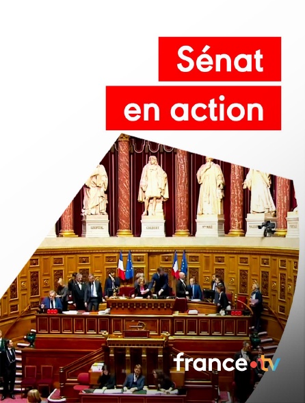 france.tv - Sénateur en action