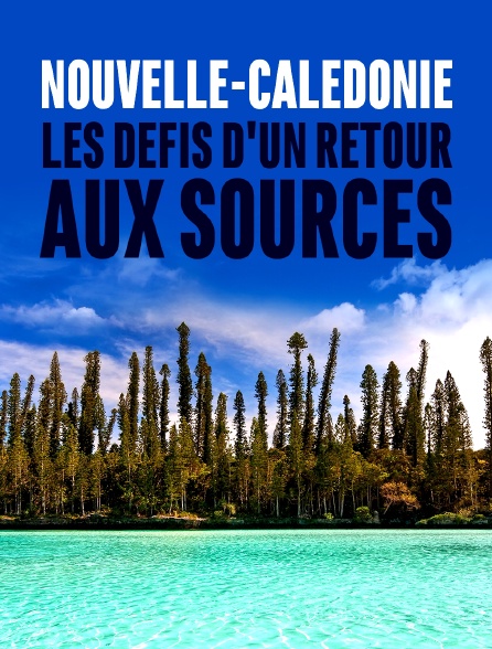 Nouvelle-Calédonie : les défis d'un retour aux sources