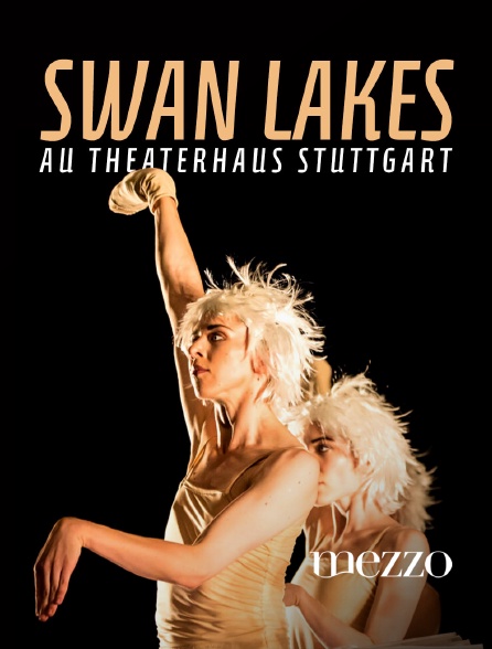 Mezzo - Swan Lakes au Theaterhaus Stuttgart